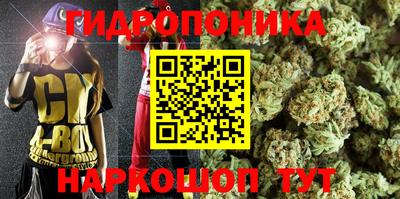 крисы Гусиноозёрск