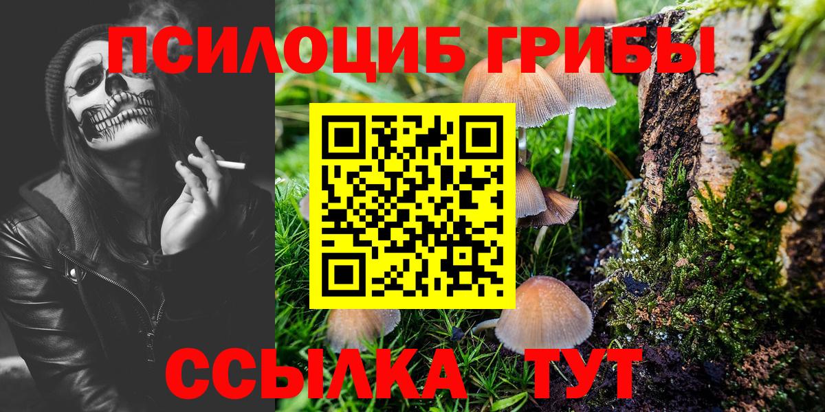 Галлюциногенные грибы мухоморы Набережные Челны
