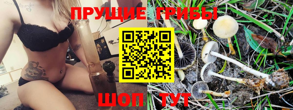 Набережные Челны  Галлюциногенные грибы MAGIC MUSHROOMS  Вход с VPN 